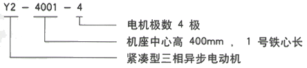 YR系列(H355-1000)高压YJTFKK5002-6-1000KW三相异步电机西安西玛电机型号说明